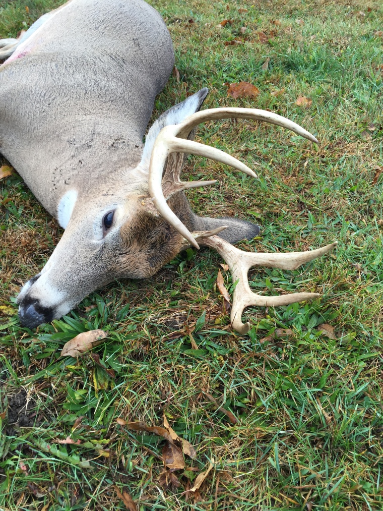 Dad's Buck - 8 Point - 10/30/2015 - Morning 